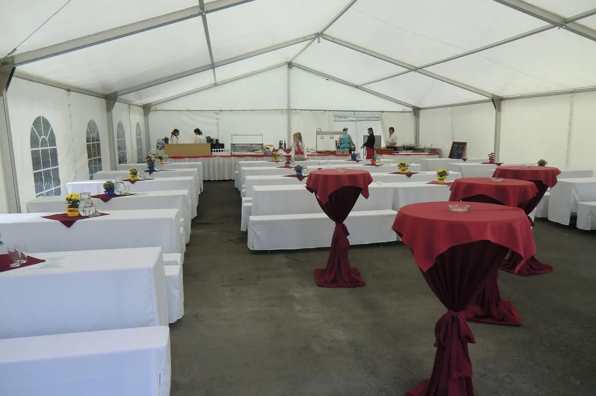 Full party servis